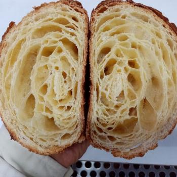 M-Tayebi-IR M-Tayebi-IR second slice