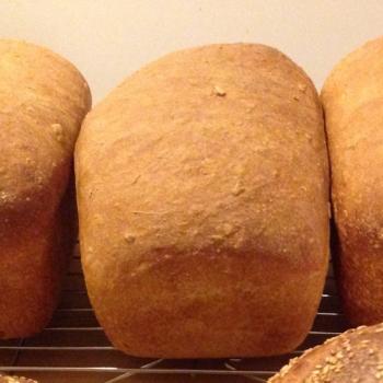 MacPike Family Starter MacPike Family Loaf Bread first overview