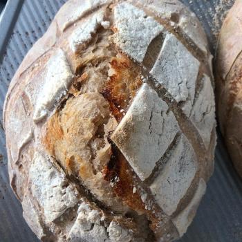 Madame Loafer Sourdough loaf second overview