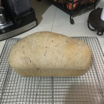 Marisa Antuna Pan de caja integral first overview