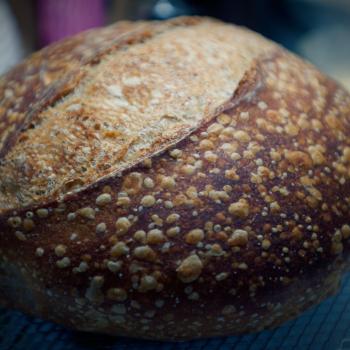 MarisaGô 1849 San Francisco Style Sourdough second overview