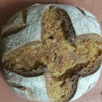 Mastani Boule and soft sandwich loaf first overview