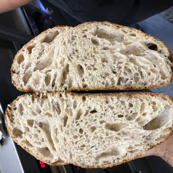 Maximus Brioche sourdough first overview