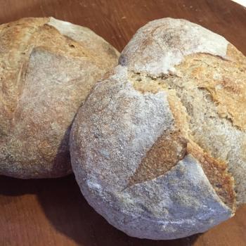 Maya Breads! second overview
