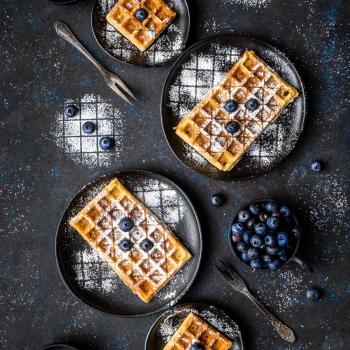 Maya Sourdough waffles first overview