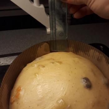 Memole Panettone made with the sister starter of memole first overview