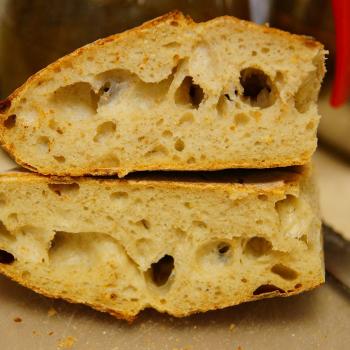 Micro volume 100% wheat by Piotr Polomski Wheat breads first overview