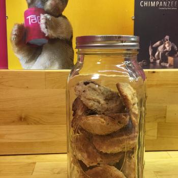 Miss Sourdough Chocolate Chip Cookies first overview