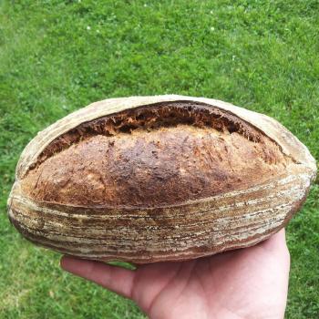 Mom Miche batard first overview