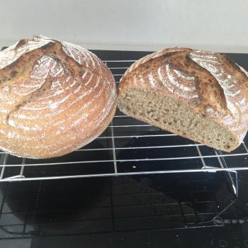 Moyo Bread first overview