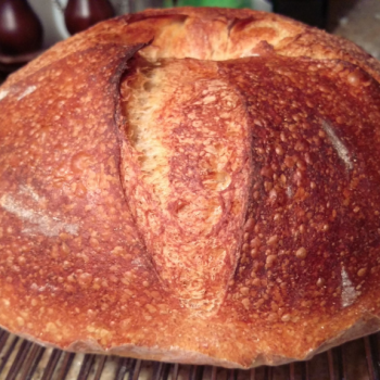 Mr Emile & Julien Alaska sourdough bread second overview
