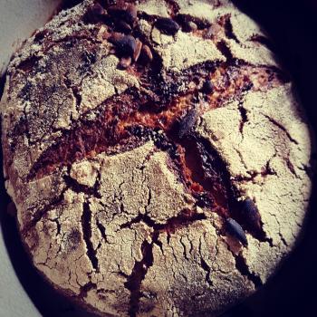 Mumbai sour dough wholewheat pizza muffins second slice