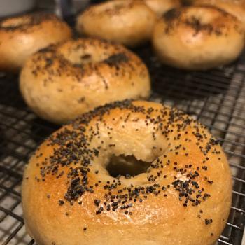 Nancy Bagels first overview