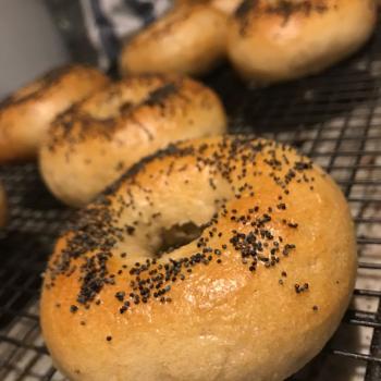 Nancy Bagels second overview