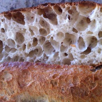 Niavel Sour Dough Baguettes and Bread first overview