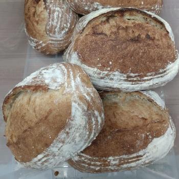 Norbert Lazarus II Flaxseed Sourdough first overview