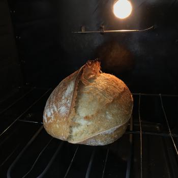 Olivia recipe