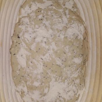 Onion Poppy Seed Sourdough Onion Poppy Seed Sourdough second overview