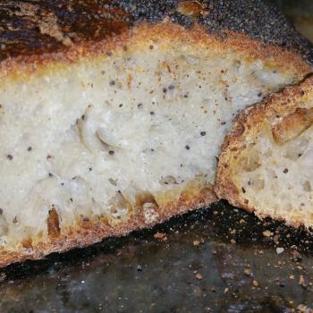 Onion Poppy Seed Sourdough Onion Poppy Seed Sourdough first slice