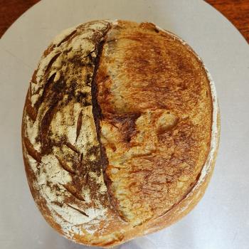 P. MADRE Sourdough bread of Rye, Wheat or Spelt, Sourdough banana bread, Focaccias second overview