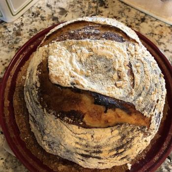 Pams special sourdough  Sourdough loaves first overview
