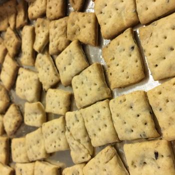 Pan Crackers first overview