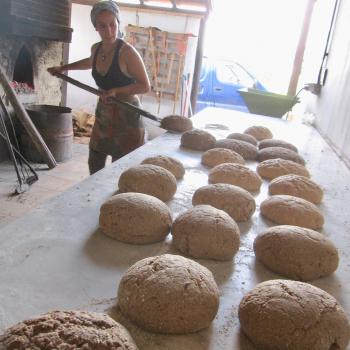 Pão com Alma Gluten Free Bread, Carob bread, Spelt Bread, Rye Bread, Mix Bread with seeds second overview