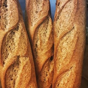 pão de nuvem SOURDOUGH BREADS first overview