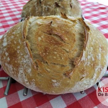 Parbo SALT FREE - Sourdough white bread first overview