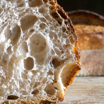 Pasta Madre Viva Bread first overview