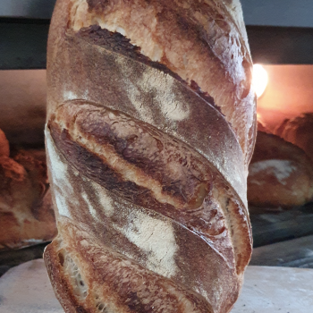 Patagonia Bread first overview