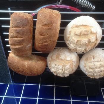 Peter's Boules second overview