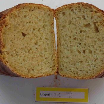 PI Bread  second slice