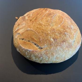 Pink Albert Bread first overview