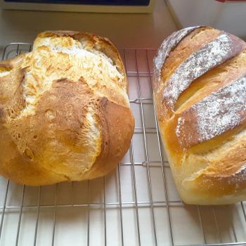 Poemeltje Sourdough loafs first overview
