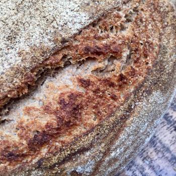 Providencia loaf bread first overview
