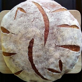 Q-chi Butterfly Bread first overview