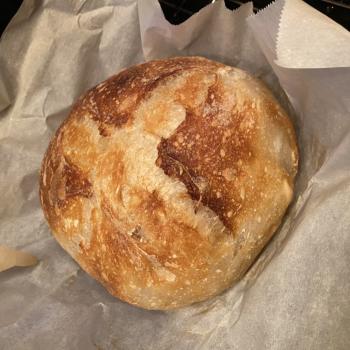 Queenie First loaf first overview