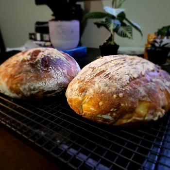 Rocky Galahad High hydration sourdough bread first slice