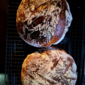 Rocky Galahad High hydration sourdough bread second slice