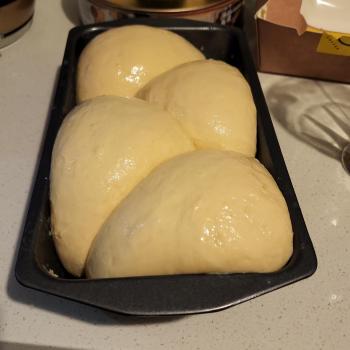 Rocky Galahad Sourdough Brioche Bread loaf second overview