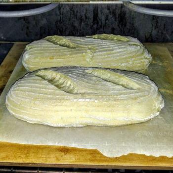 Rocky Mountain Miners Sourdough Starter Rocky Mountain Miners Sourdough second overview