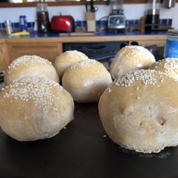Ronaldo Hamburger/hotdog buns first overview
