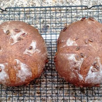 Ryemond Pumpkin bread first overview