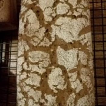 Ryen Whole meal rye sourdough bread second overview