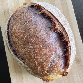 Sally Bread second overview
