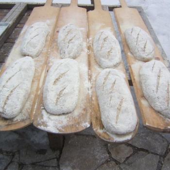 Sans Nom Multigrain Sourdough second overview