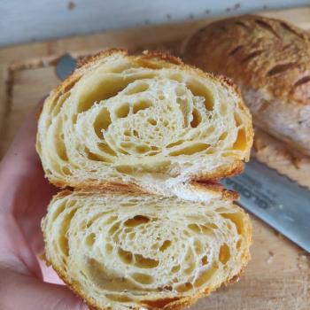 Sebastian Croissants second overview