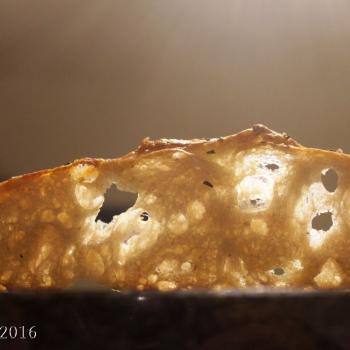 September starter Sourdough focaccia second slice