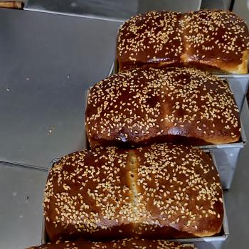 Shakal Sourdough Sandwich Bread second overview